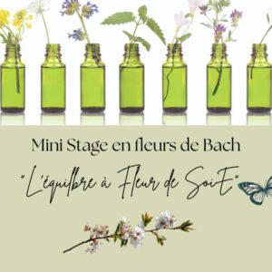 MINI STAGE INDIVIDUEL EN FLEURS DE BACH: "L'Equilibre à Fleur du SoiE "🦋