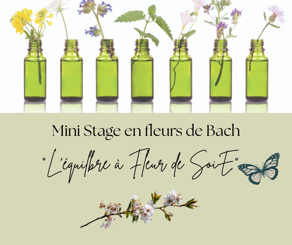 MINI STAGE INDIVIDUEL EN FLEURS DE BACH: « L’Equilibre à Fleur du SoiE « 🦋