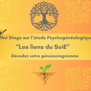 MINI STAGE ETUDE TRANSGÉNÉRATIONNELLE: "Les Liens du SoiE" 🦋
