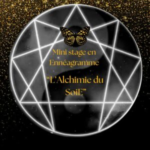 MINI STAGE INDIVIDUEL EN ENNÉAGRAMME: "L'Alchimie du SoiE" 🦋