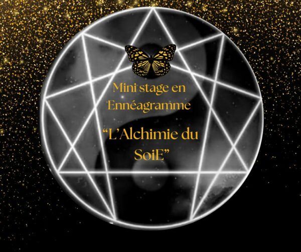MINI STAGE INDIVIDUEL EN ENNÉAGRAMME: "L'Alchimie du SoiE" 🦋